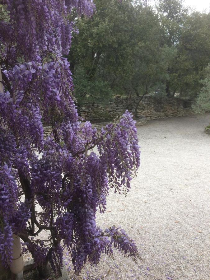 Le Verger Gordes Bagian luar foto