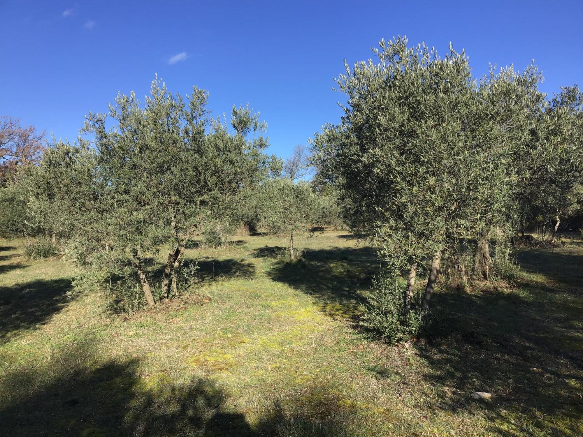 Le Verger Gordes Bagian luar foto